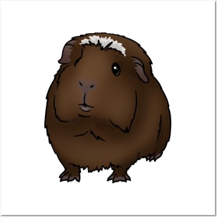 Brown with White Crested Guinea Pig Posters and Art